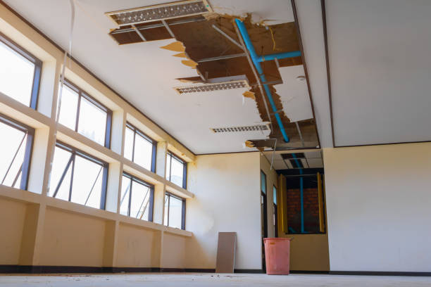 Best Fire Damage Restoration  in Silsbee, TX