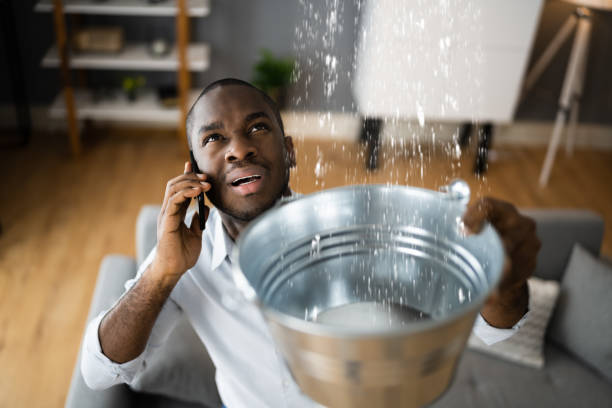 Best Ceiling water damage repair  in Silsbee, TX
