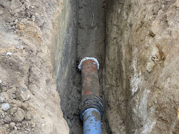 Best Flood restoration services  in Silsbee, TX