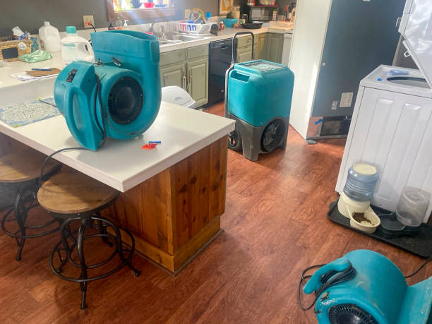 Best Water damage restoration near me  in Silsbee, TX