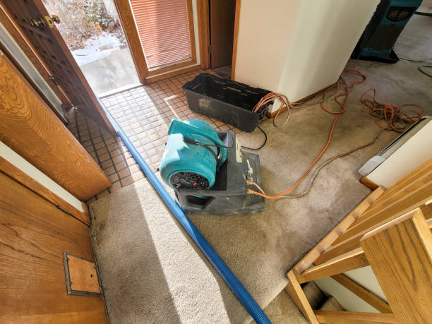 Best Local water damage restoration  in Silsbee, TX