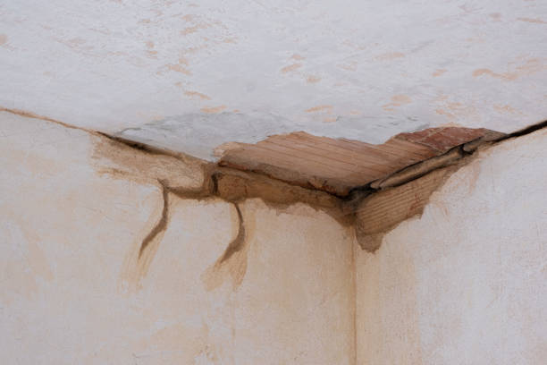 Best Local water damage restoration  in Silsbee, TX