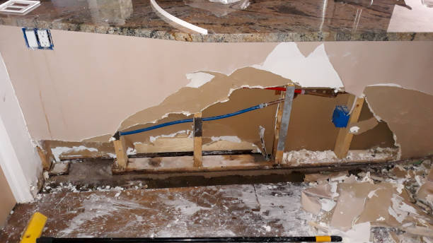 Best Fire Damage Restoration  in Silsbee, TX
