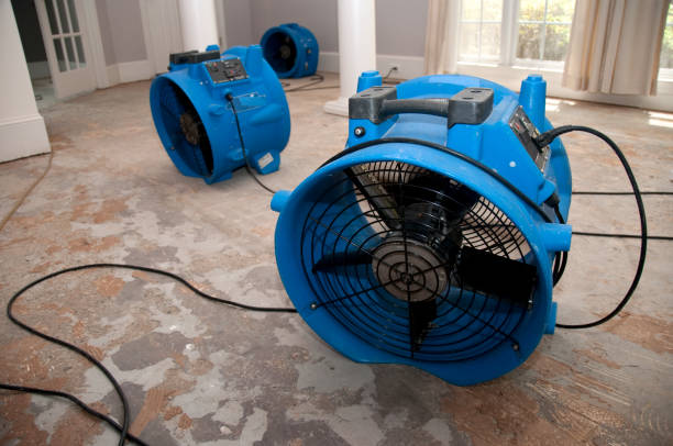 Best Local water damage restoration  in Silsbee, TX