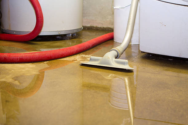 Best Commercial water damage restoration  in Silsbee, TX