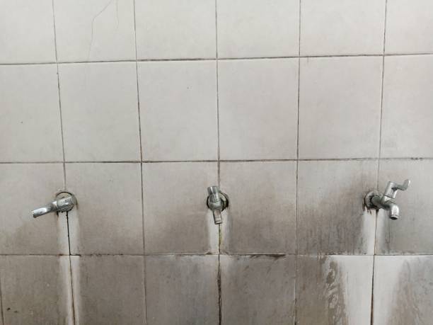 Best Flood damage cleanup  in Silsbee, TX