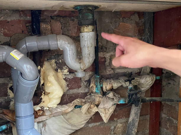 Carpet water damage restoration in Silsbee, TX