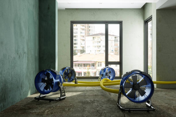 Silsbee, TX Water damage restoration Pros